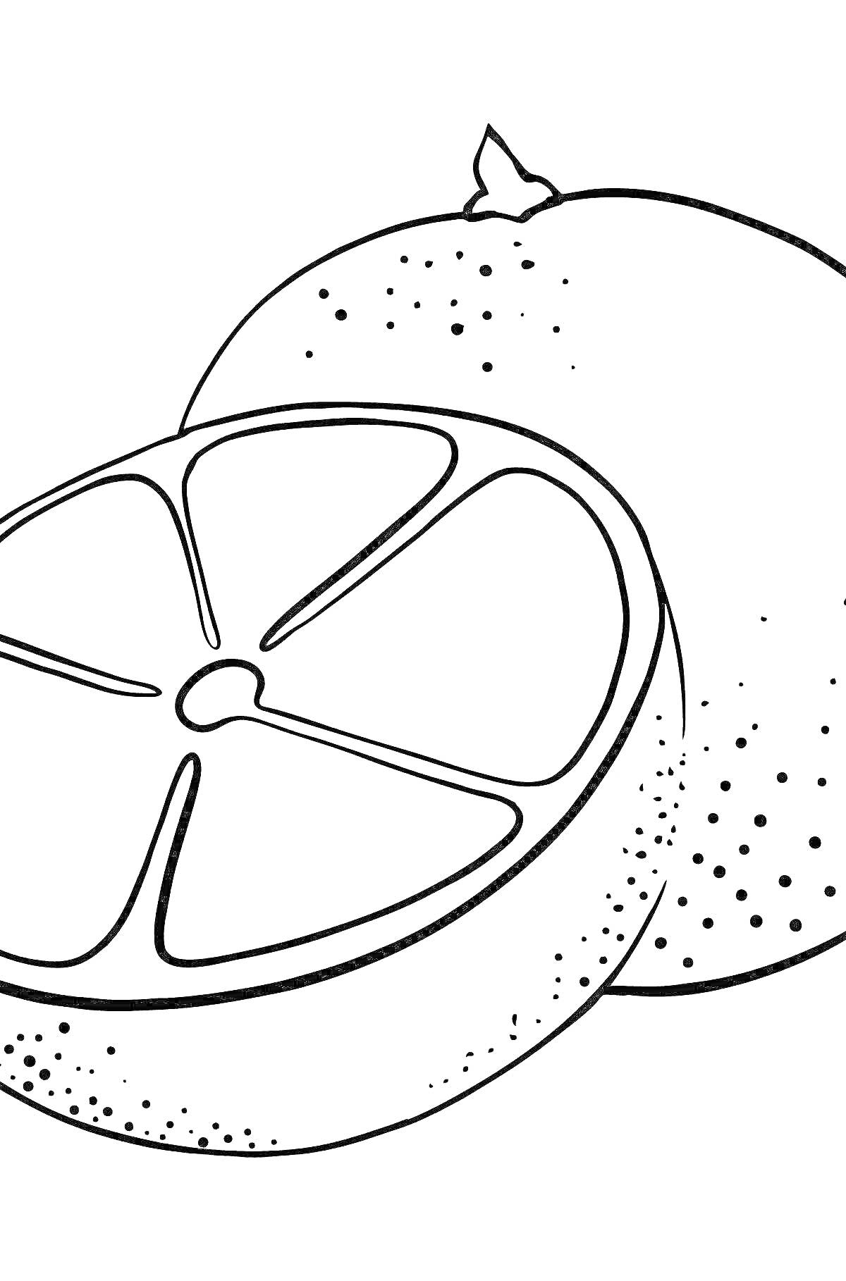 Раскраска Целый грейпфрут и половина грейпфрута