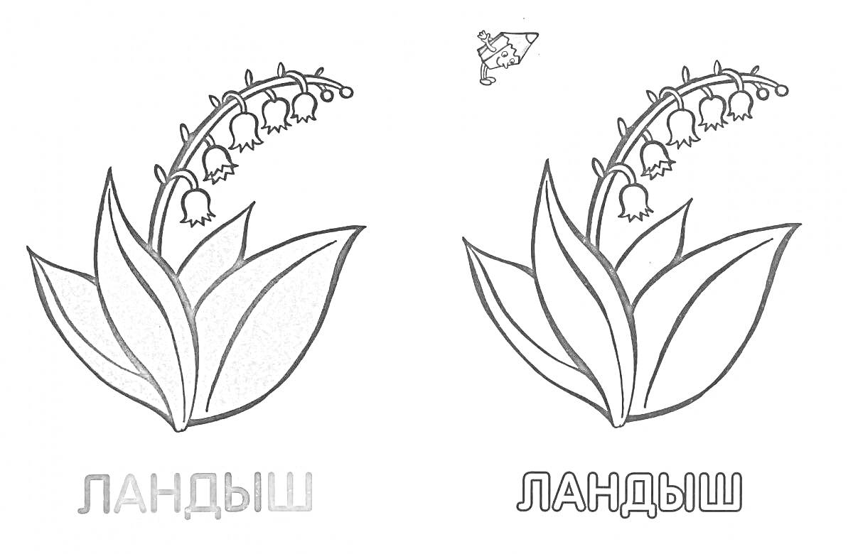 На раскраске изображено: Ландыш, Листья, Бабочка, Для детей, Природа, Растения