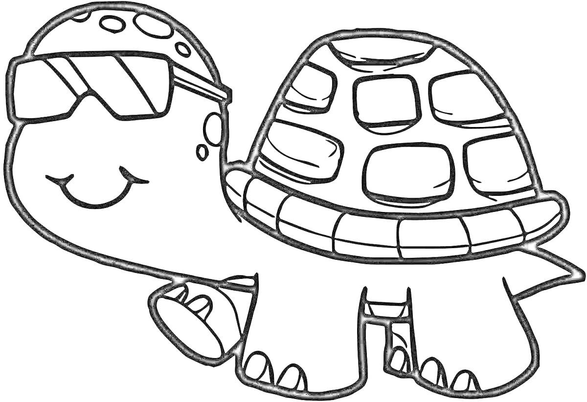 Раскраска черепаха в очках с пятнистой головой и панцирем