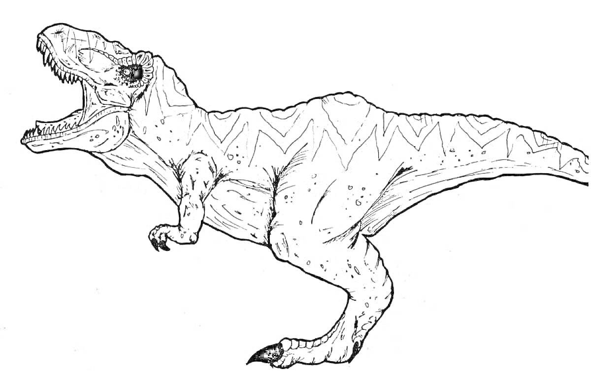 На раскраске изображено: Динозавр, Древние животные, Рептилии, Тираннозавр Рекс, Хищники