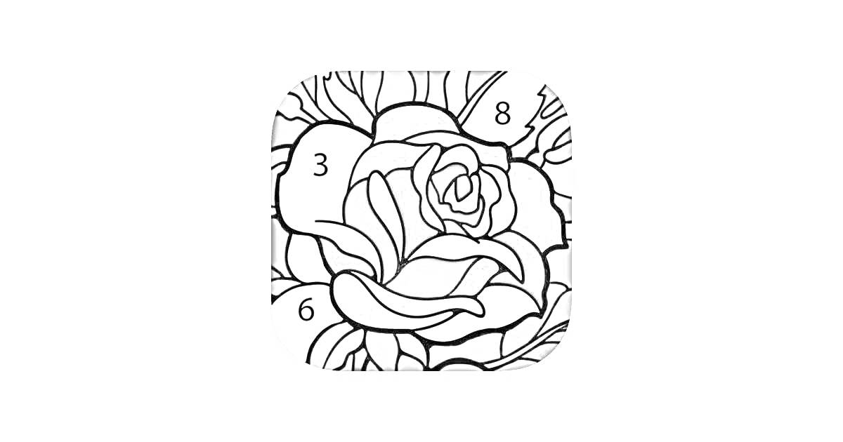 Раскраска роза с листьями и номерами для раскрашивания