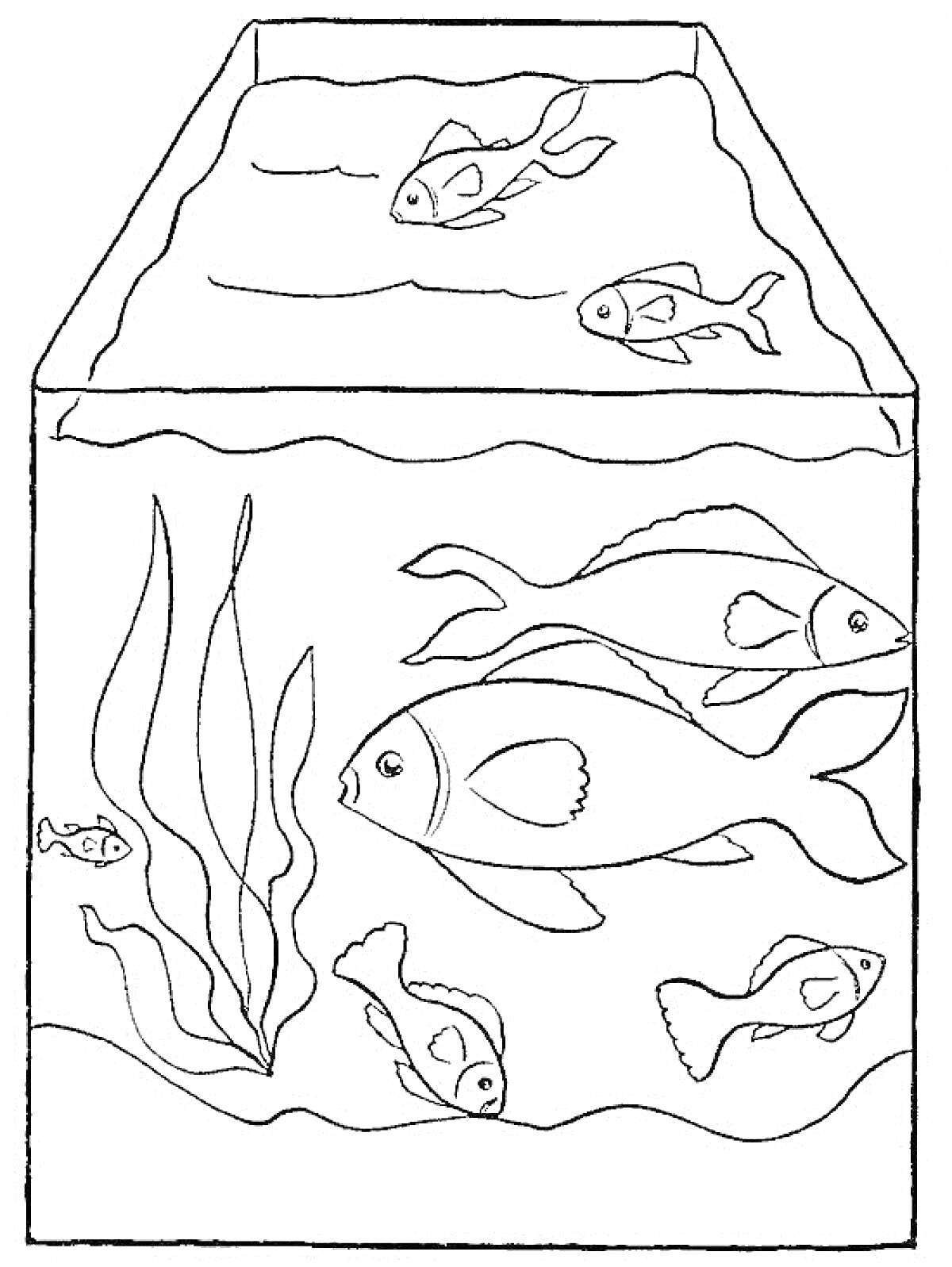 Раскраска Рыбы в аквариуме с водорослями