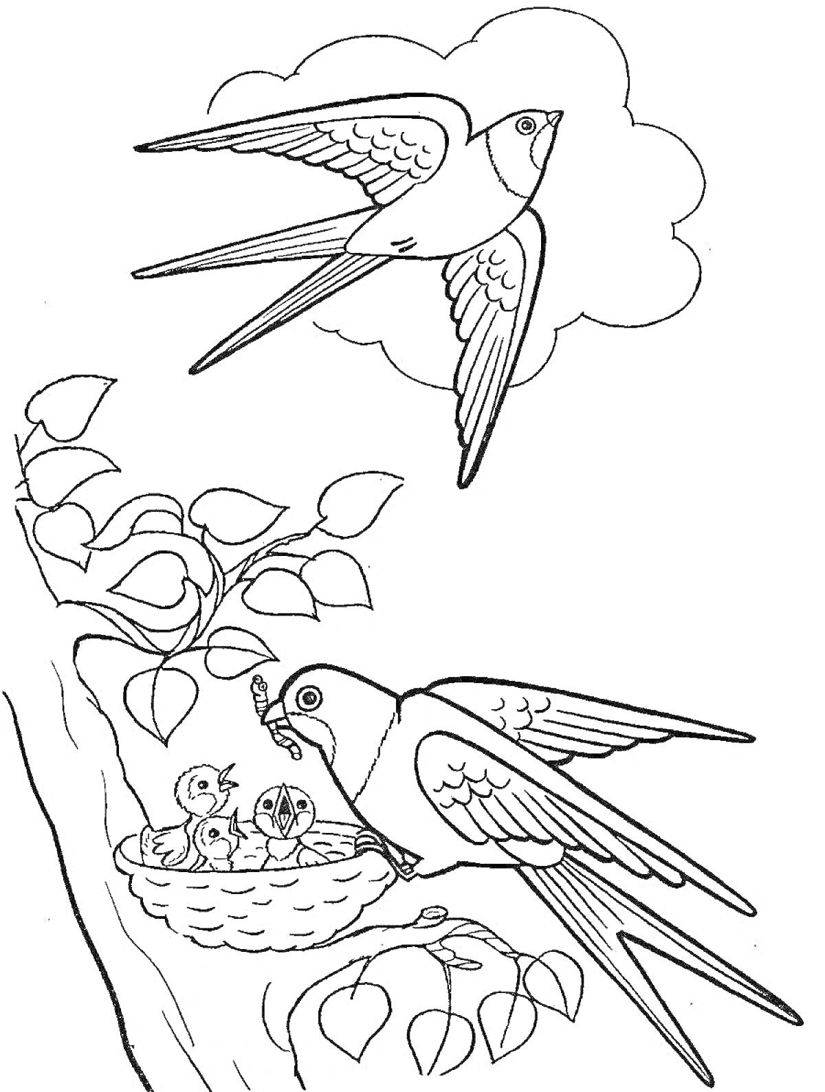 Раскраска Две ласточки, одна летит в небе, другая кормит птенцов в гнезде, расположенном на дереве с листьями
