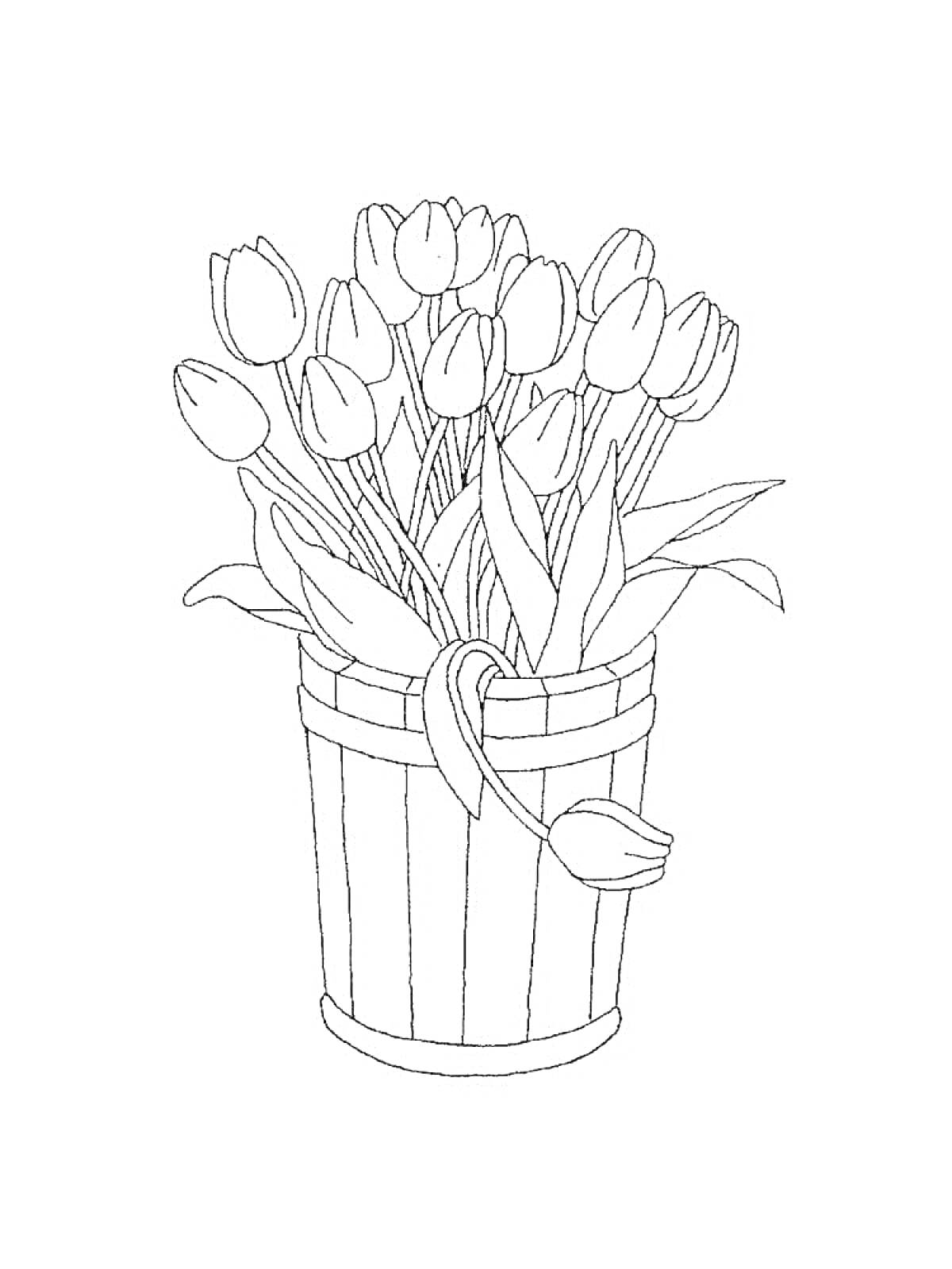 Раскраска Букет тюльпанов в ведре