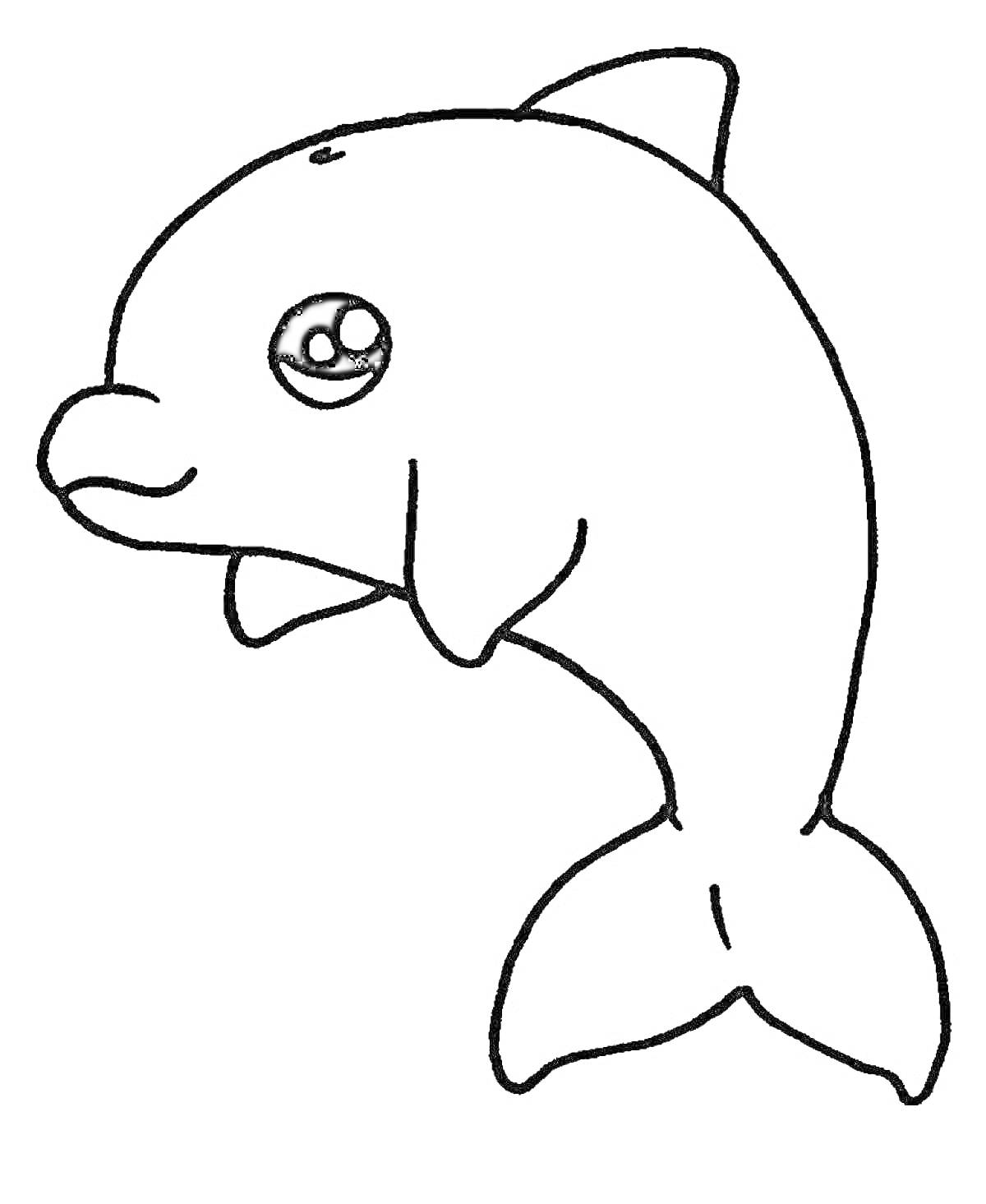 На раскраске изображено: Морские животные, Морская жизнь, Дельфины, Плавники