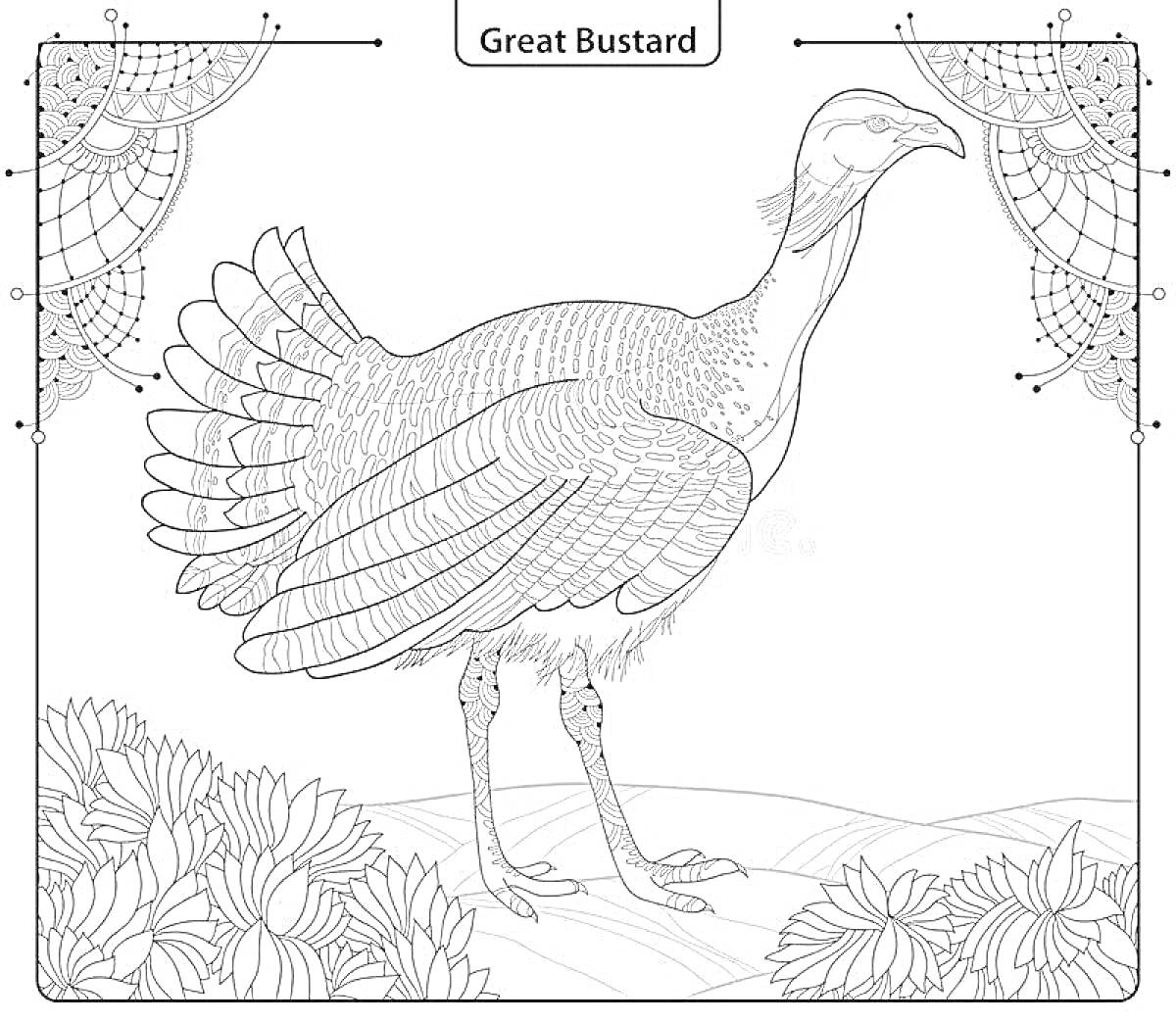 Раскраска дрофа на фоне цветов и узоров