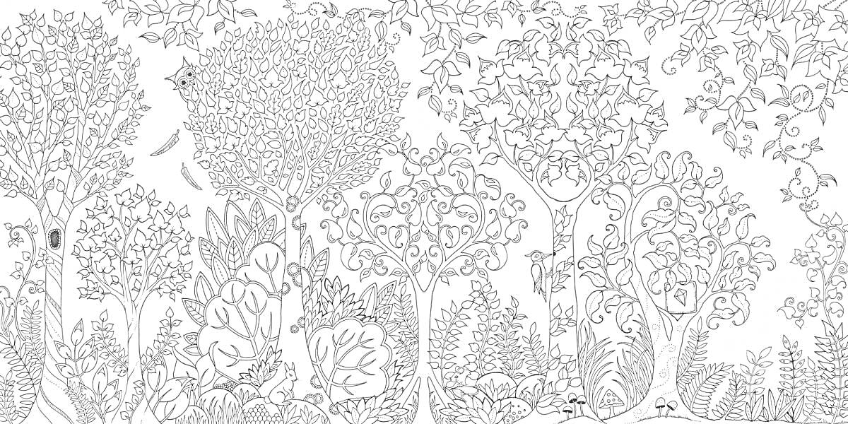 Раскраска Волшебный лес с деревьями, листьями, кустами, цветами, птицами, грибами и другими сказочными деталями