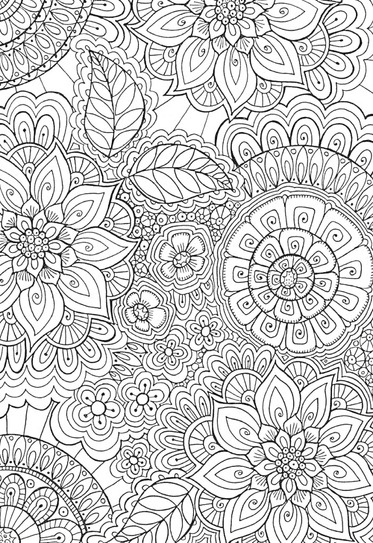Раскраска Узоры антистресс с цветами, листьями и орнаментами