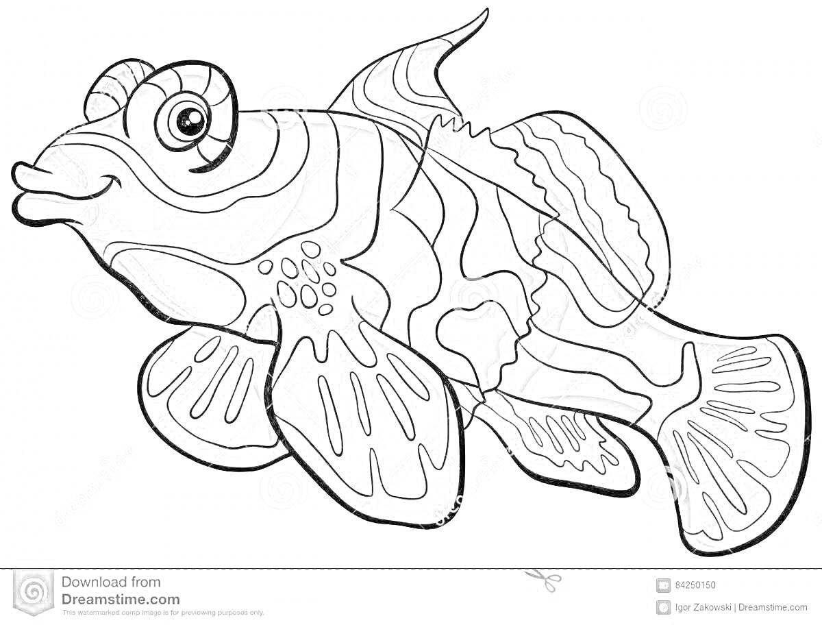 Раскраска Раскраска рыбы мандаринки с крупными плавниками и сложным узором на теле
