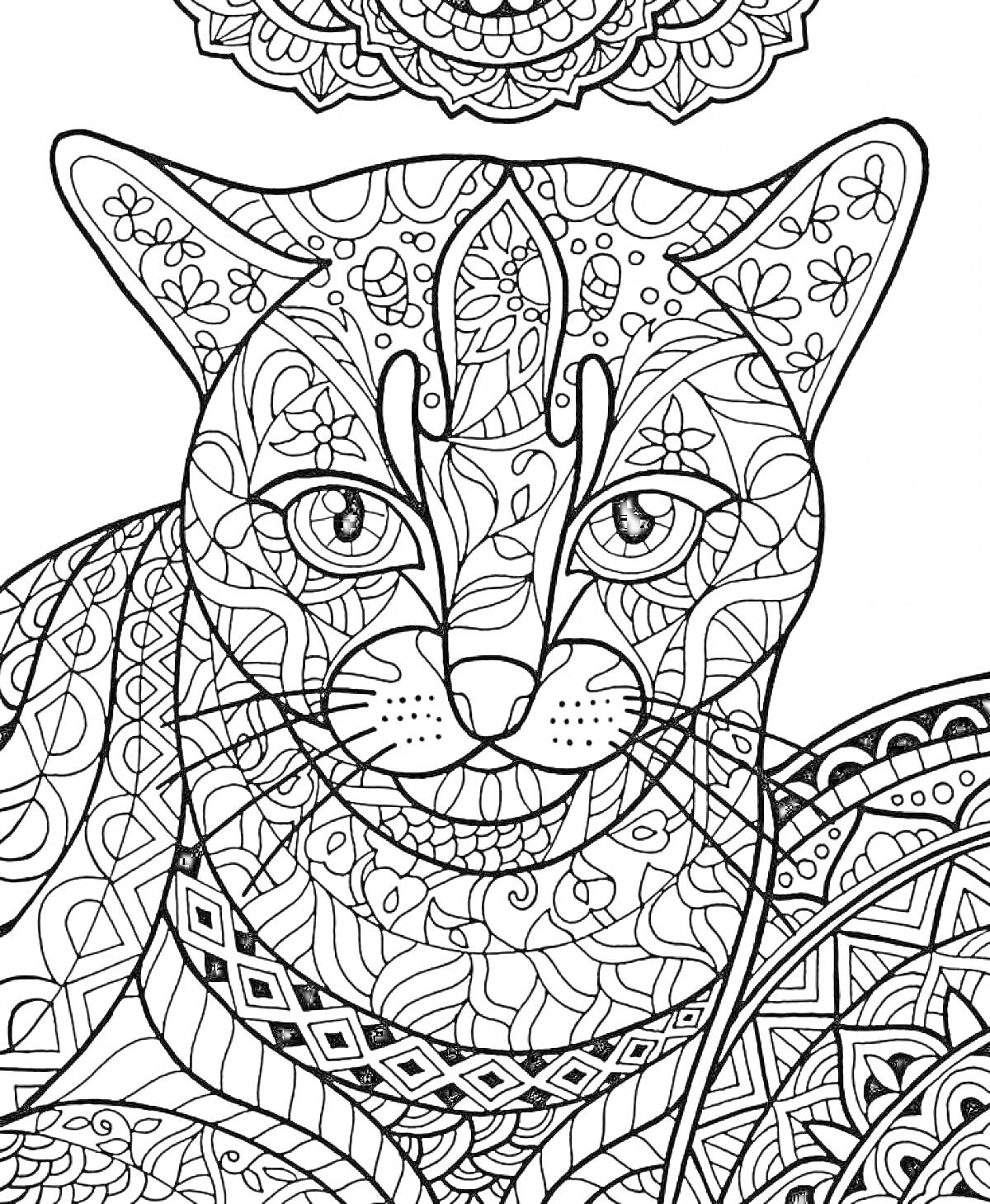 Антистресс раскраска с детализированной кошкой, цветочными узорами и геометрическими элементами