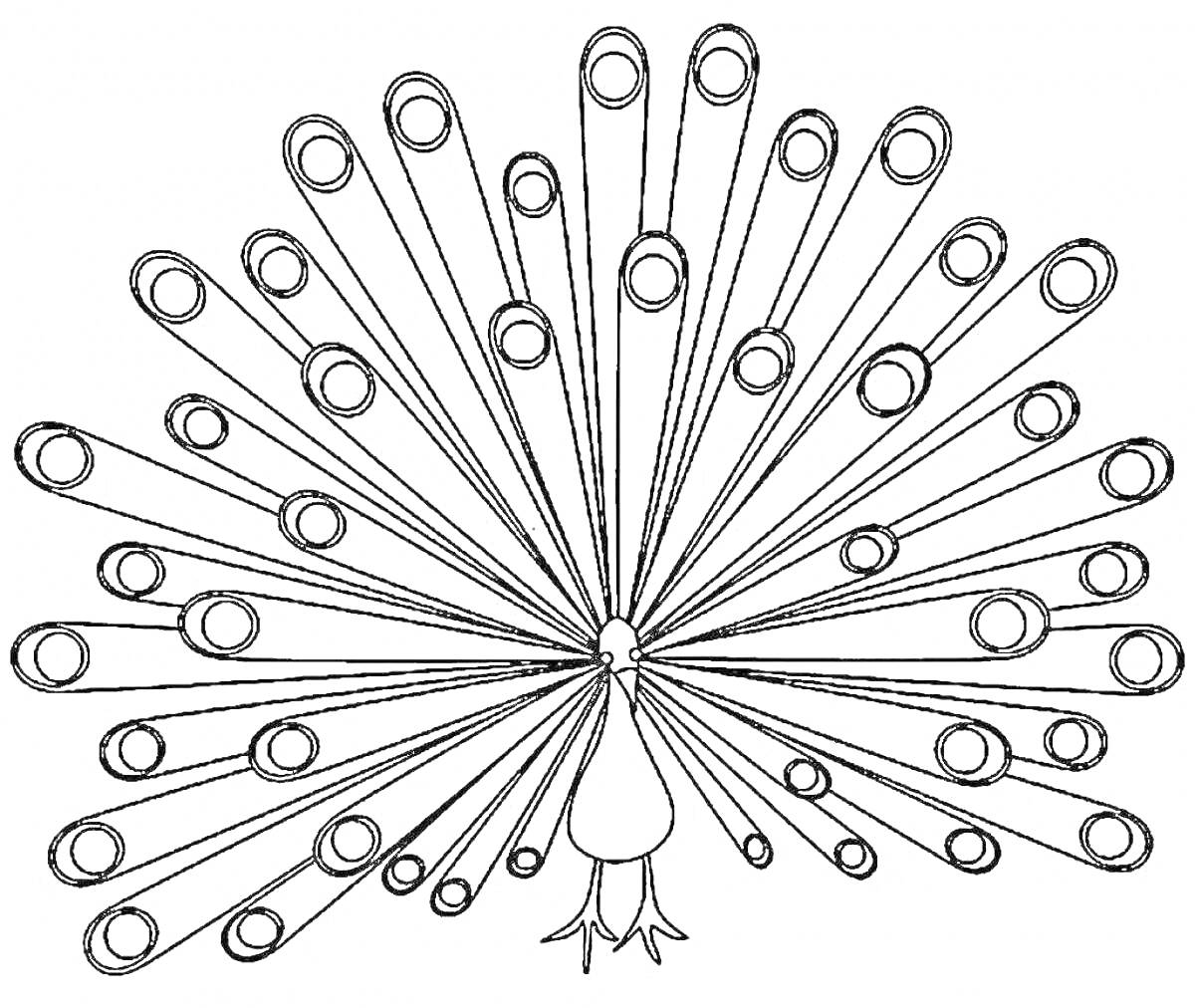Раскраска Раскраска павлин с распущенным хвостом для детей (павлин с распущенными хвостовыми перьями)