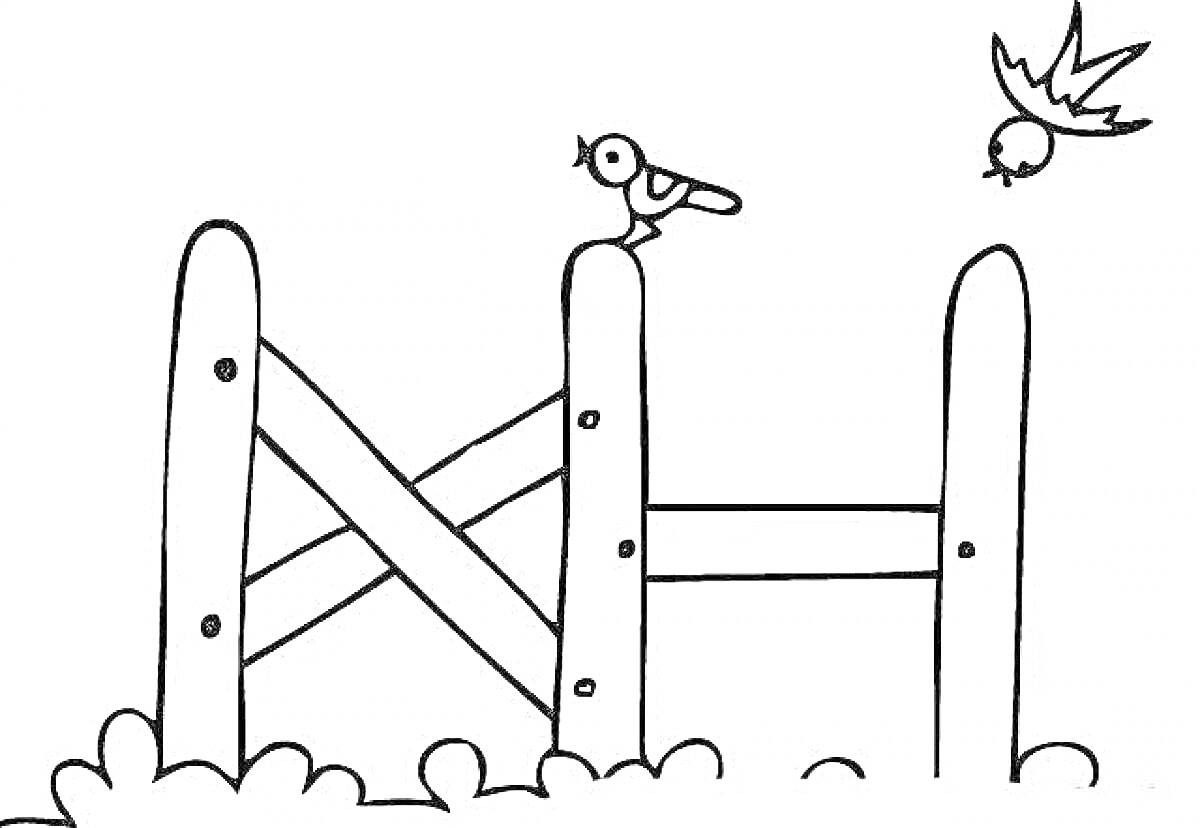 Раскраска Деревянный забор с птицей на вершине и птицей в полете над кустами