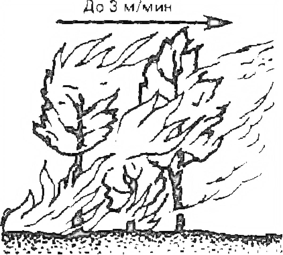 Лесной пожар: горящие деревья, направление ветра, указываемое стрелкой до 3 м/мин