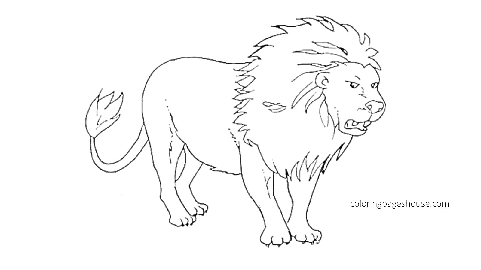 На раскраске изображено: Лев, Большая кошка, Грива, Африканский лев