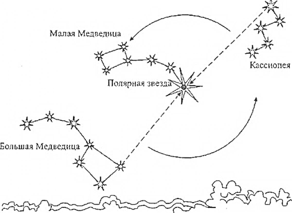 На раскраске изображено: Малая Медведица, Полярная звезда, Большая Медведица, Созвездия, Астрономия, Небо