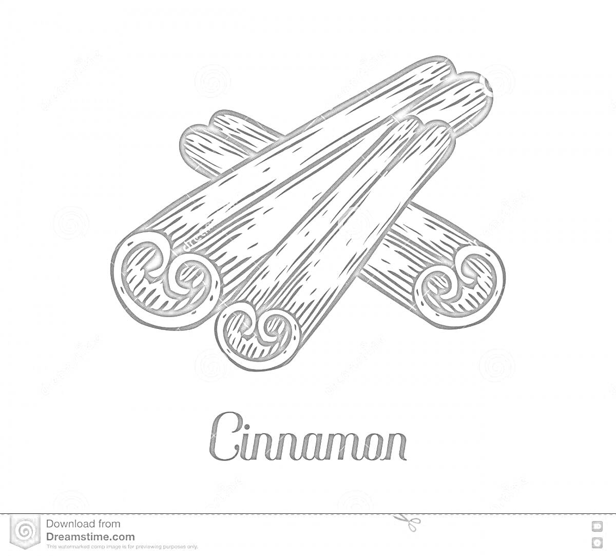 На раскраске изображено: Корица, Специи, Аромат, Иллюстрация