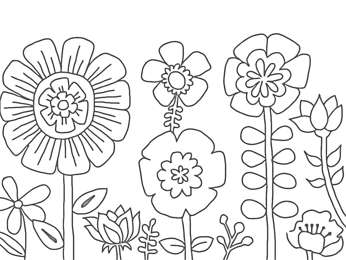 Раскраска Раскраска с изображением различных цветов, стеблей и листьев