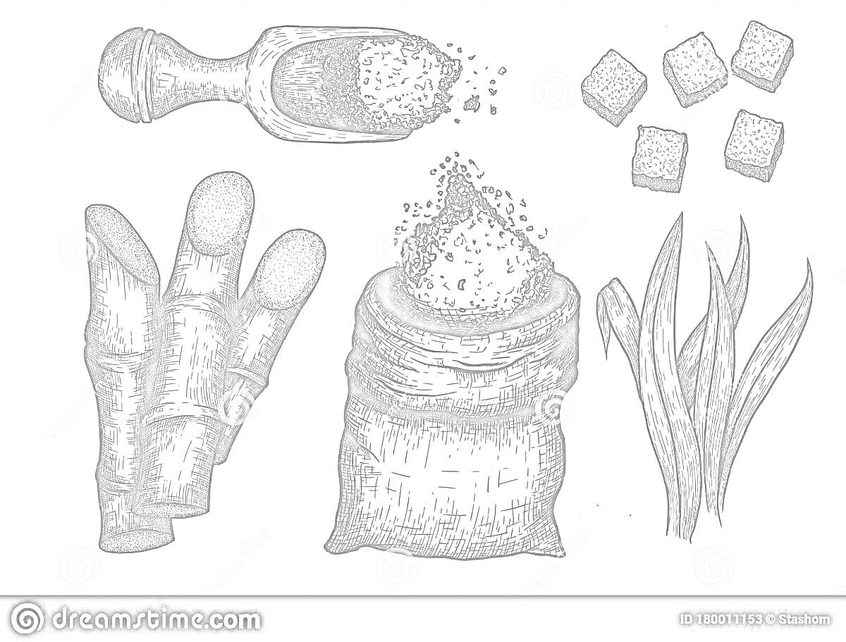 Раскраска Тростник, мешок с сахаром, совок с сахаром, кубики сахара