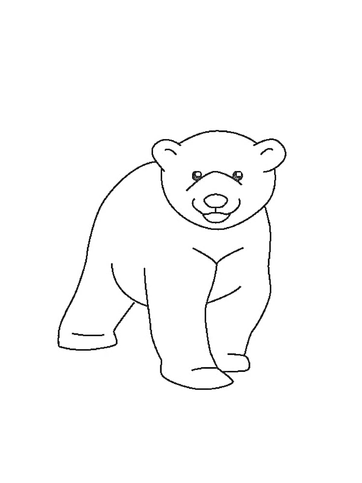 На раскраске изображено: Белый медведь, Медведь, Животные, Арктика