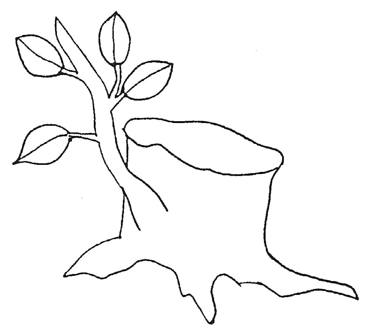 Раскраска Пень с веткой и листьями