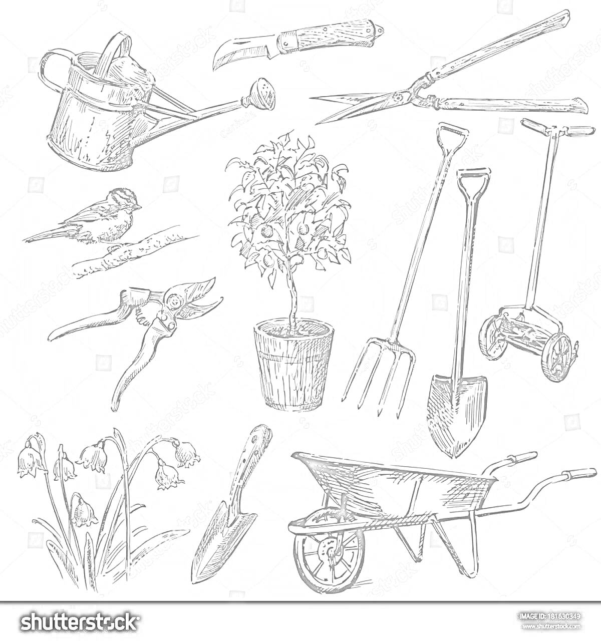 Раскраска садовая лейка, нож для прививки, садовые ножницы, птица, секатор, цветок в горшке, вилы, совок, газонокосилка, ручная тачка