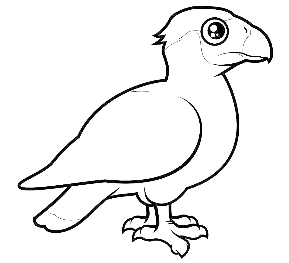 Птица с округлыми глазами, изогнутым клювом и мощными лапами