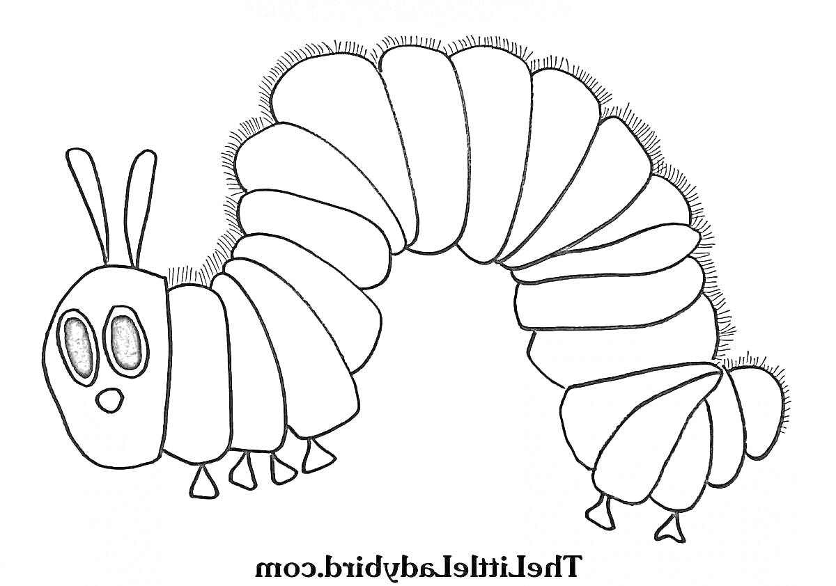 Раскраска Гусеница с антеннами и ножками