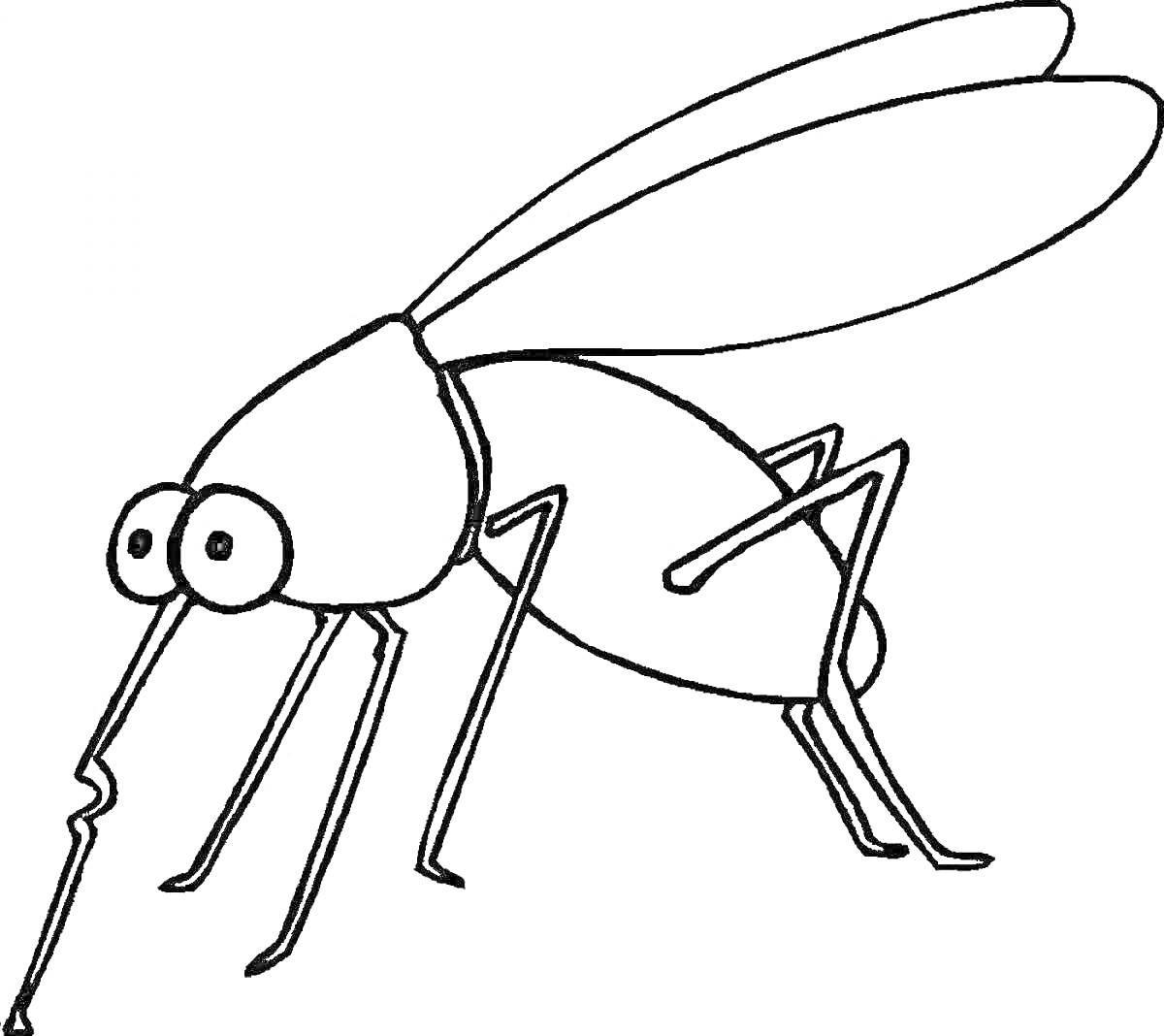 На раскраске изображено: Комар, Насекомое, Большие глаза, Простая линия, Из мультфильмов
