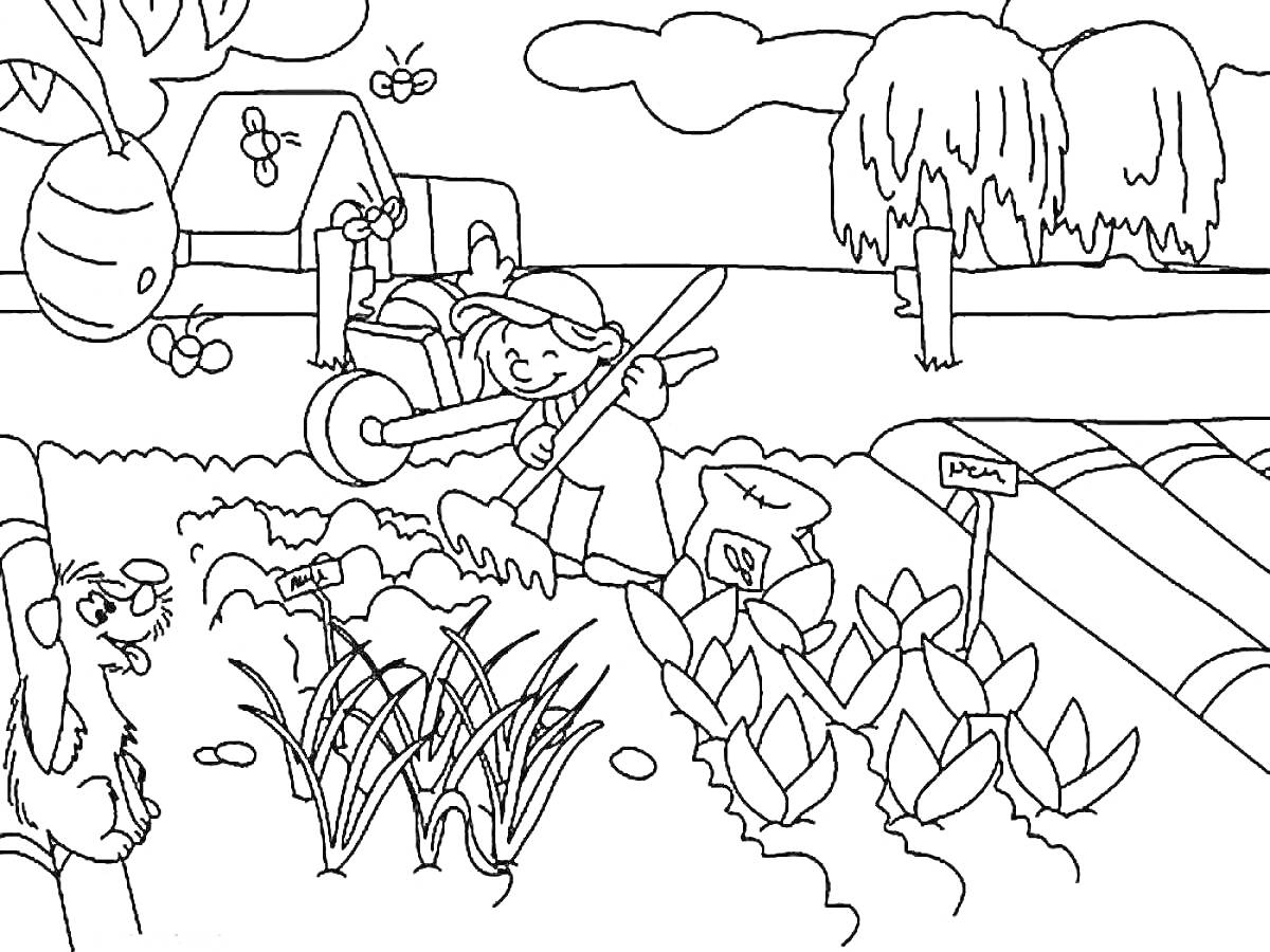 Раскраска Сад с работающим мальчиком, собакой, пчёлами, растениями и домом на заднем плане