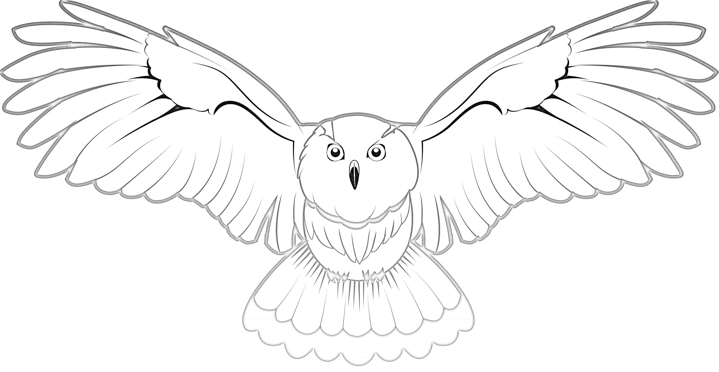 Раскраска Полярная сова с расправленными крыльями