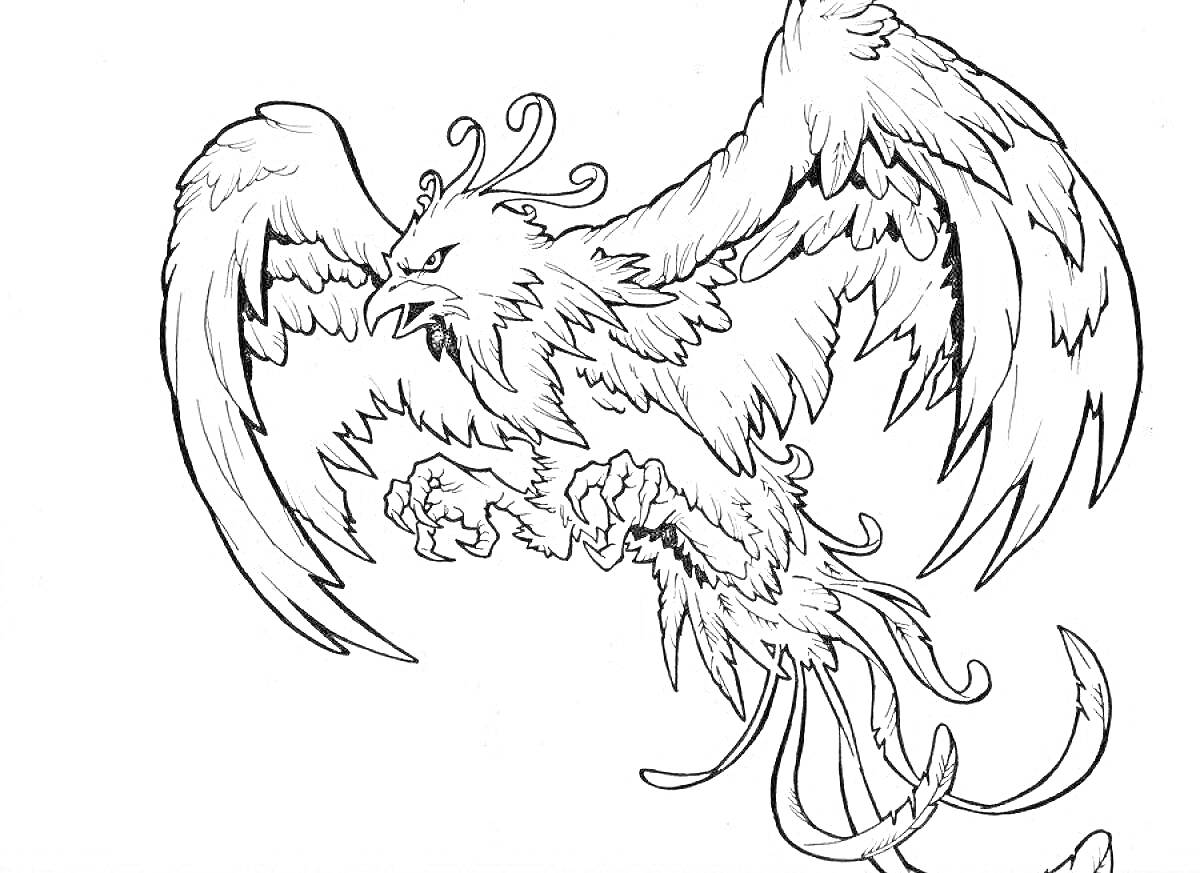 На раскраске изображено: Феникс, Крылья, Полет, Птица, Когти, Мифические существа