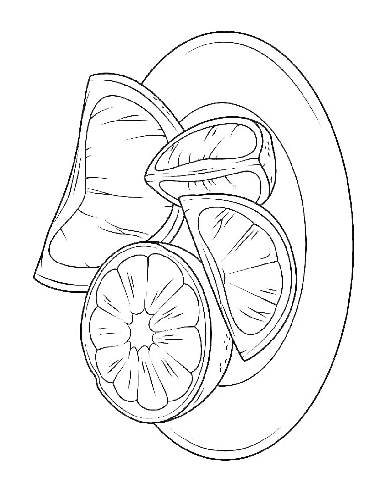 Раскраска Лайм, нарезанный дольками и кольцами на тарелке