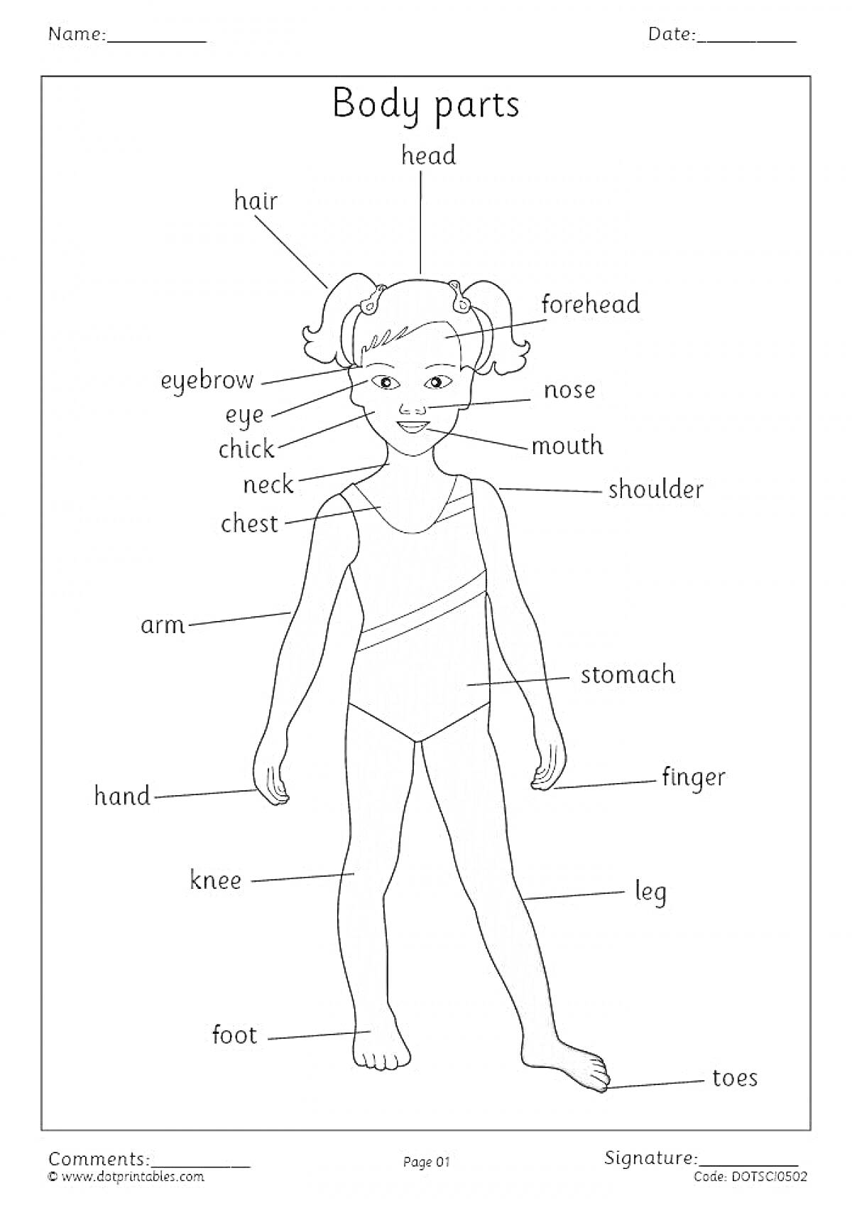 Раскраска Body parts: head, hair, forehead, eyebrow, eye, nose, chick, neck, mouth, chest, shoulder, arm, hand, finger, stomach, leg, knee, foot, toes