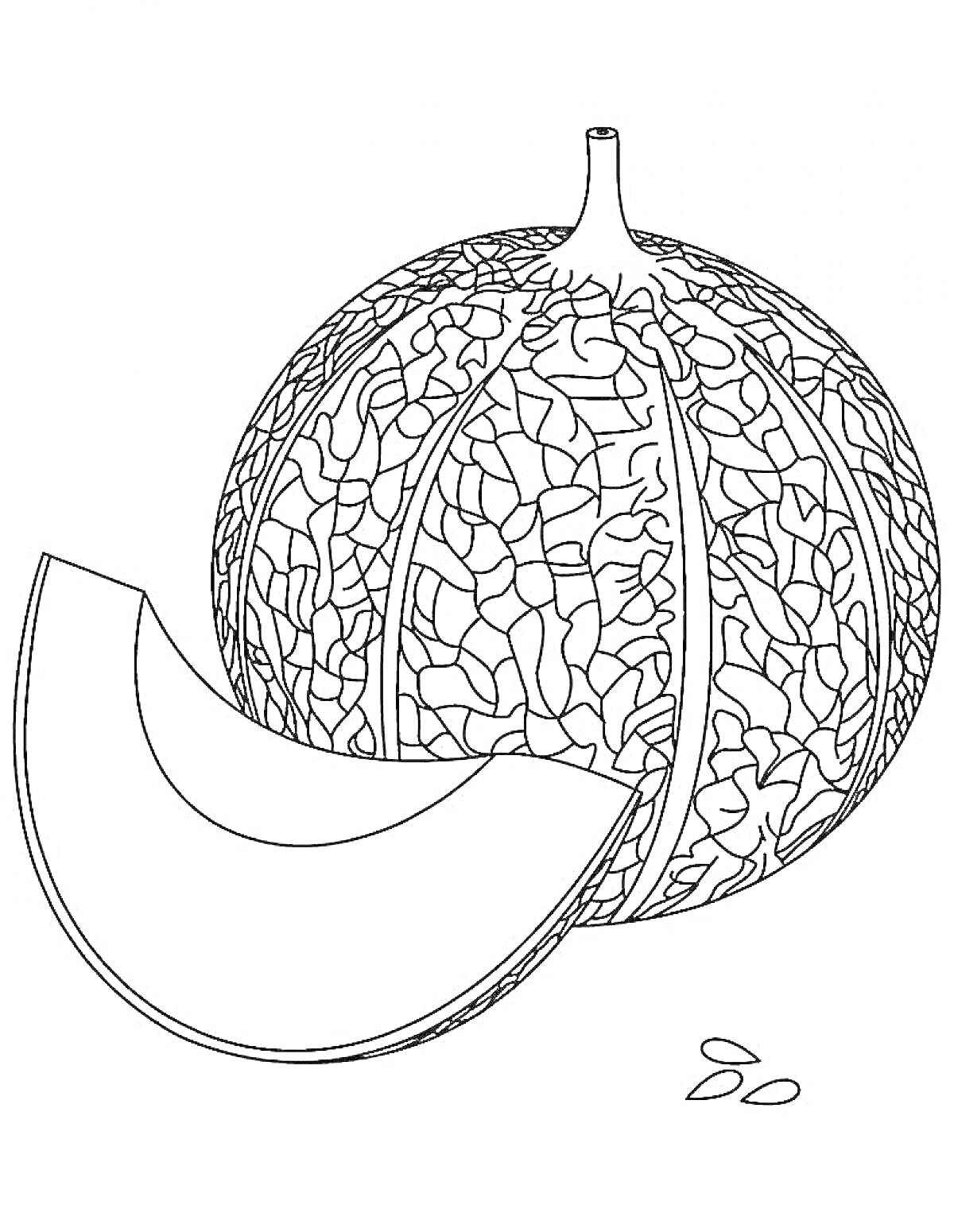 Раскраска целая дыня, долька дыни, семечки