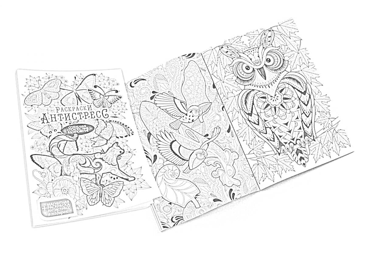 На раскраске изображено: Антистресс, Животные, Природа, Сова, Узоры, Медитация, Творчество, Арт