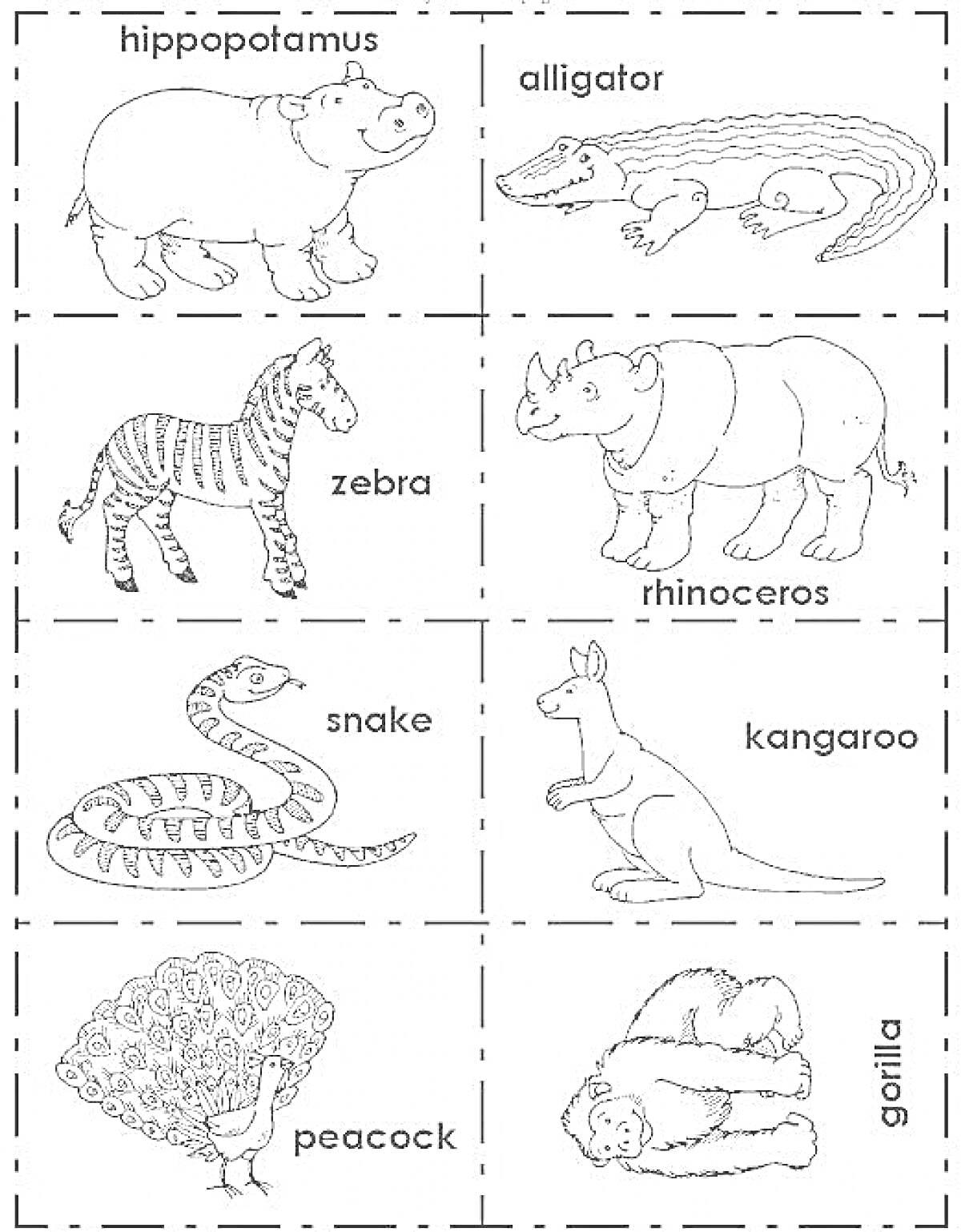 Раскраска Раскраска с животными на английском языке: бегемот, аллигатор, зебра, носорог, змея, кенгуру, павлин, горилла