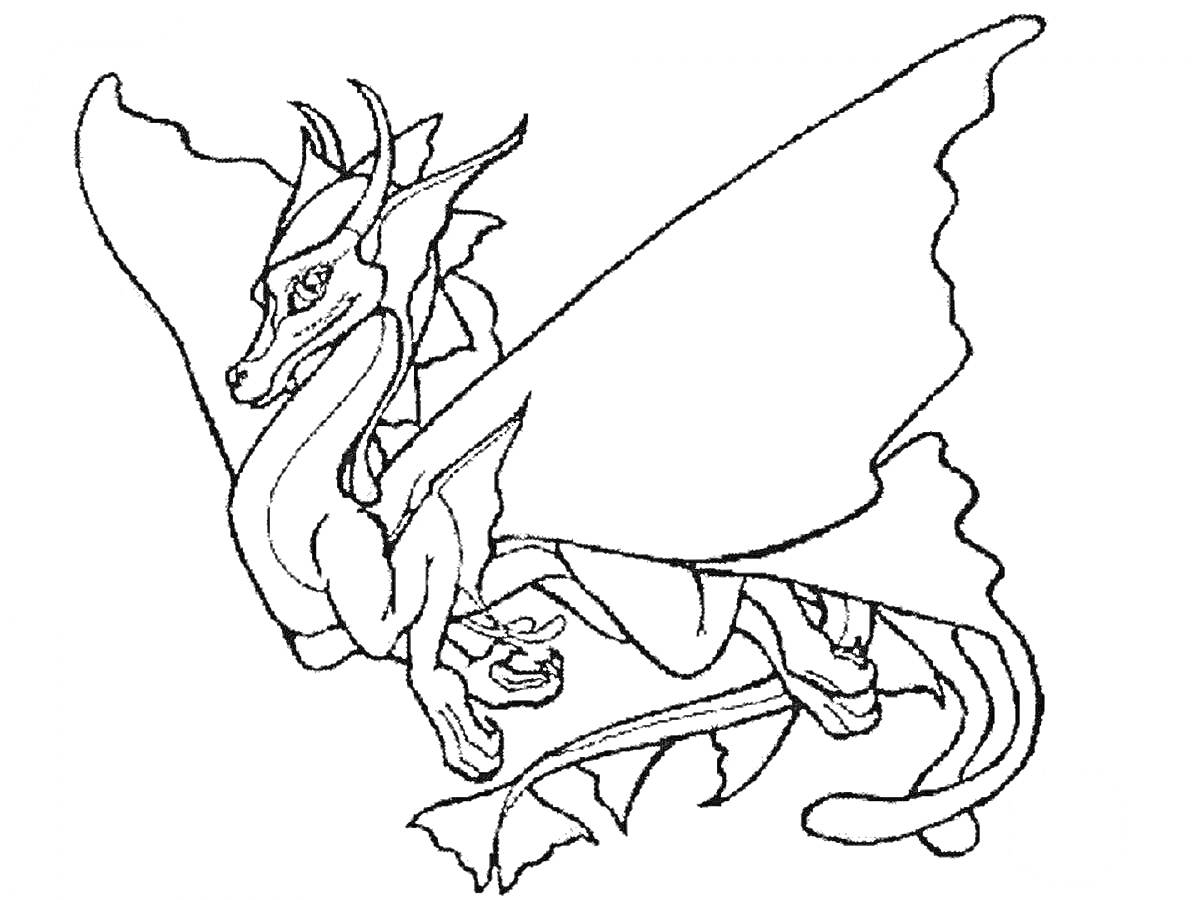 Раскраска летающий дракон с большими крыльями, украшенный защитным шлемом