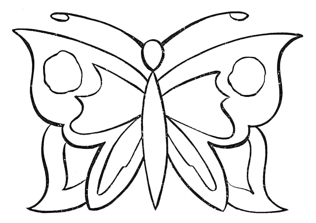 Раскраска Контур бабочки с узорами на крыльях и тельцем