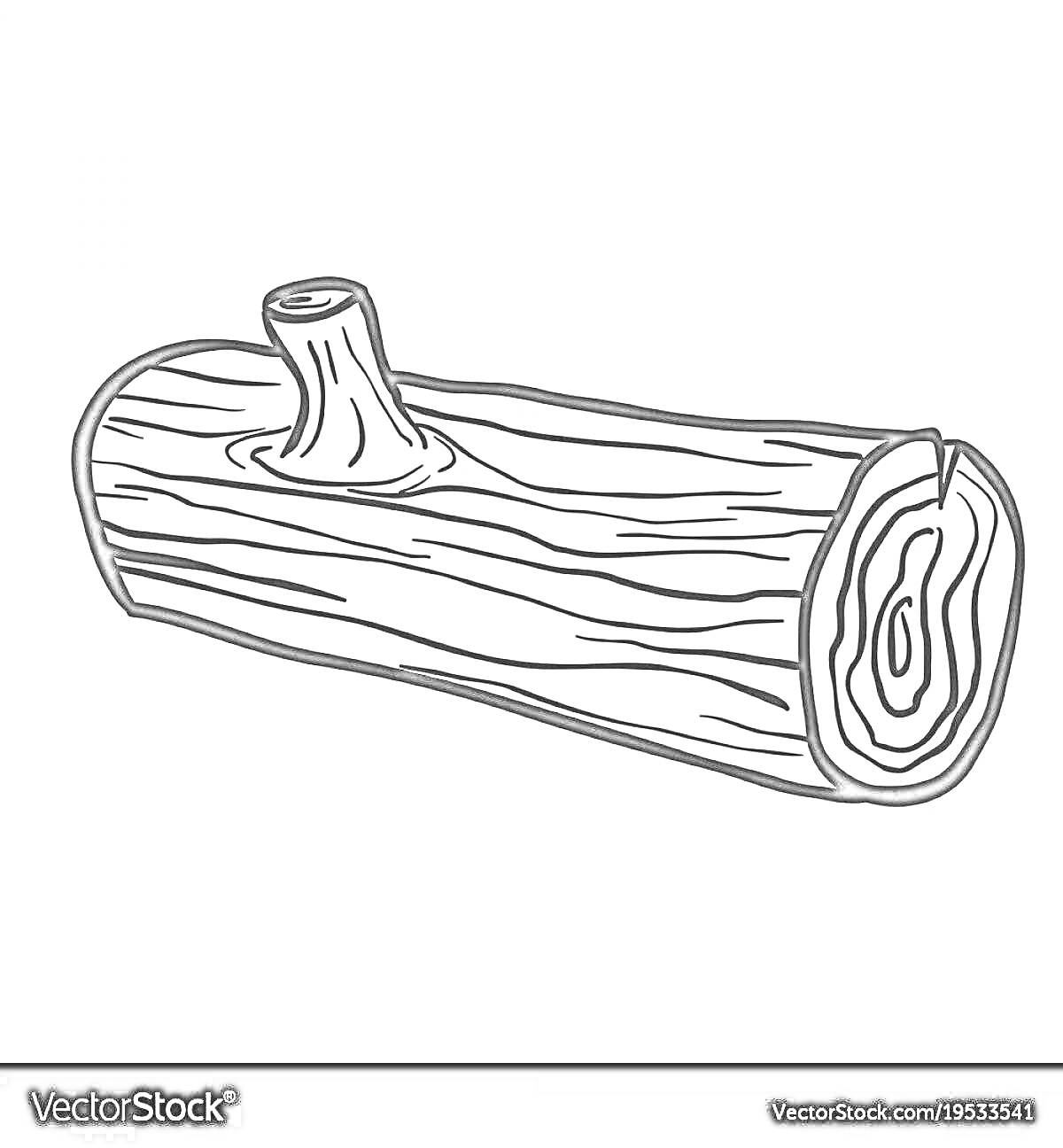 На раскраске изображено: Бревно, Древесина, Линии, Природа, Зарисовка