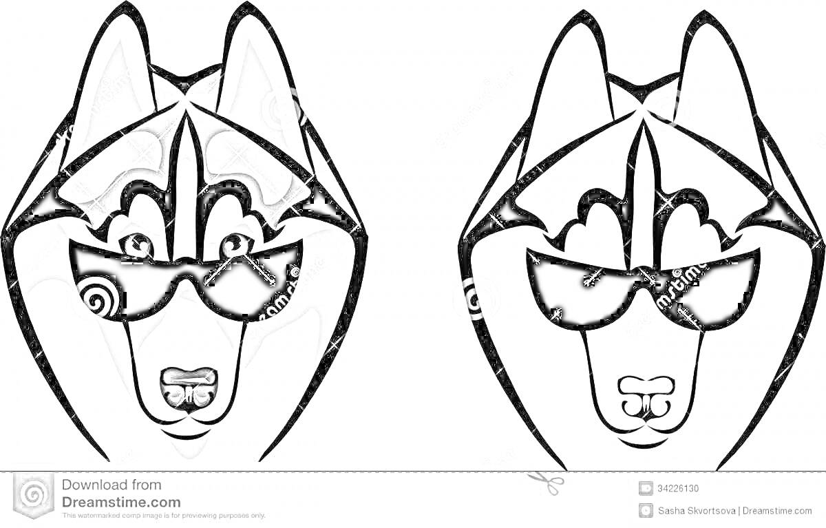 Раскраска Два хаски в очках, раскраска