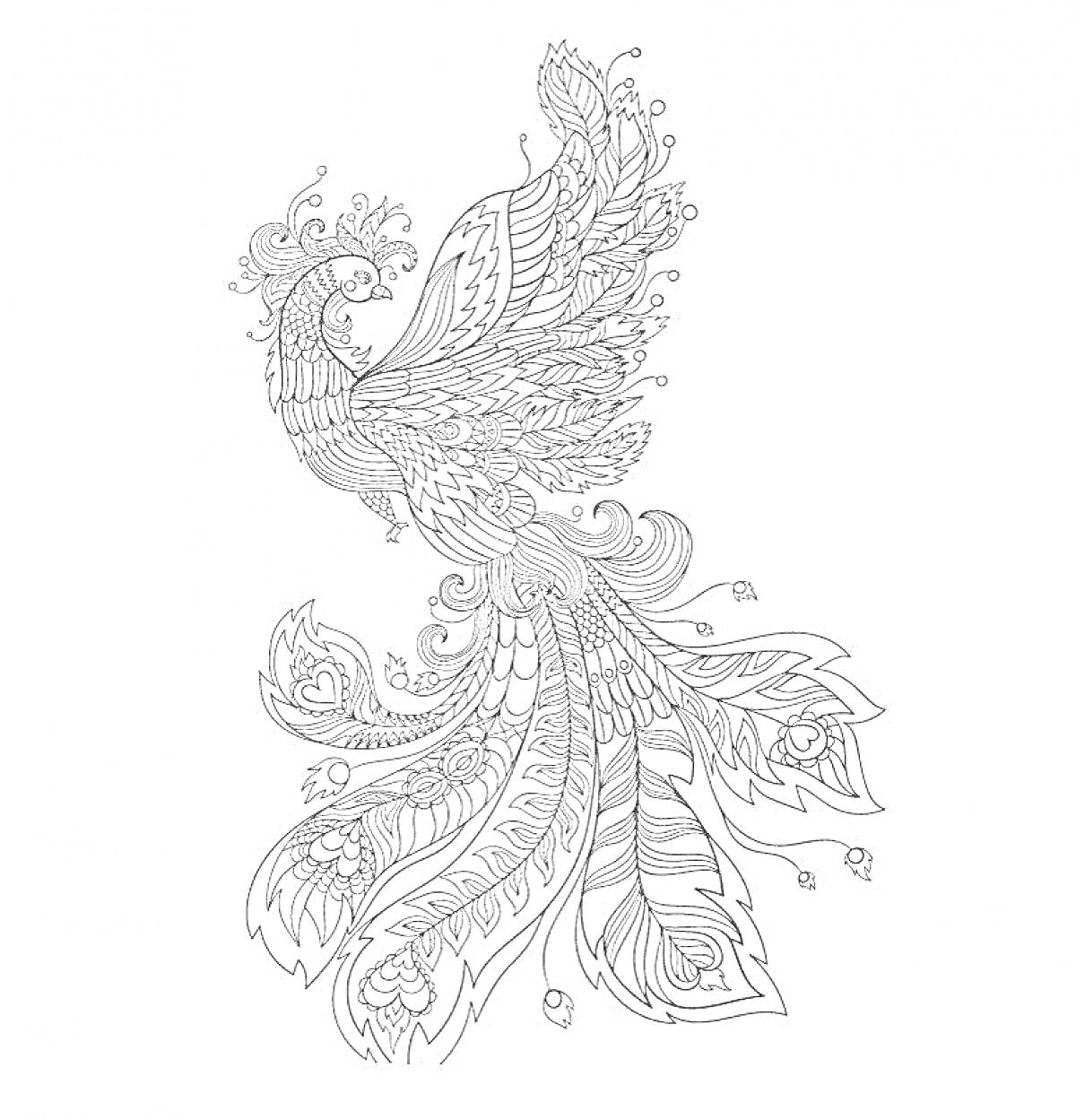 Раскраска Феникс с распущенными крыльями, узорчатым хвостом и декоративными элементами