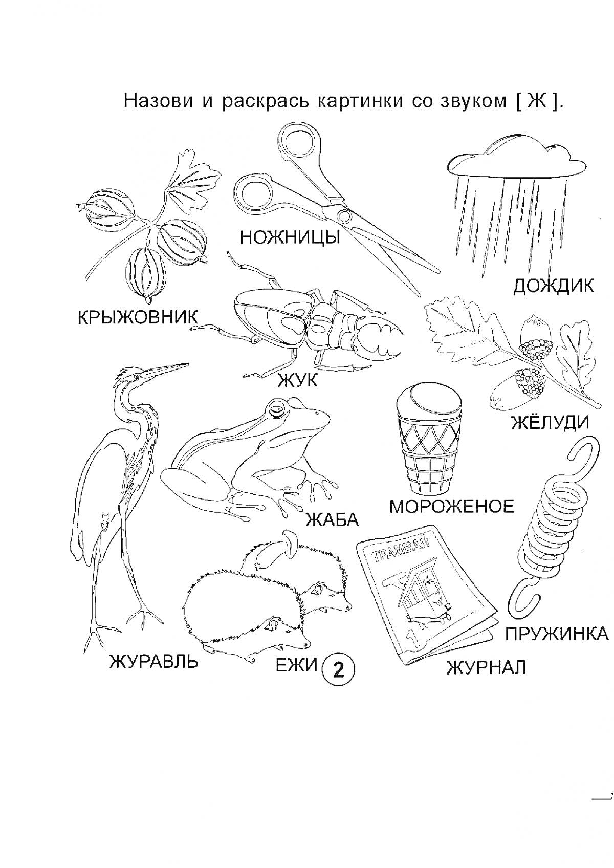 Раскраска крыжовник, ножницы, дождик, жуки, желудь, журавль, жаба, мороженое, ежи, пружинка, журнал