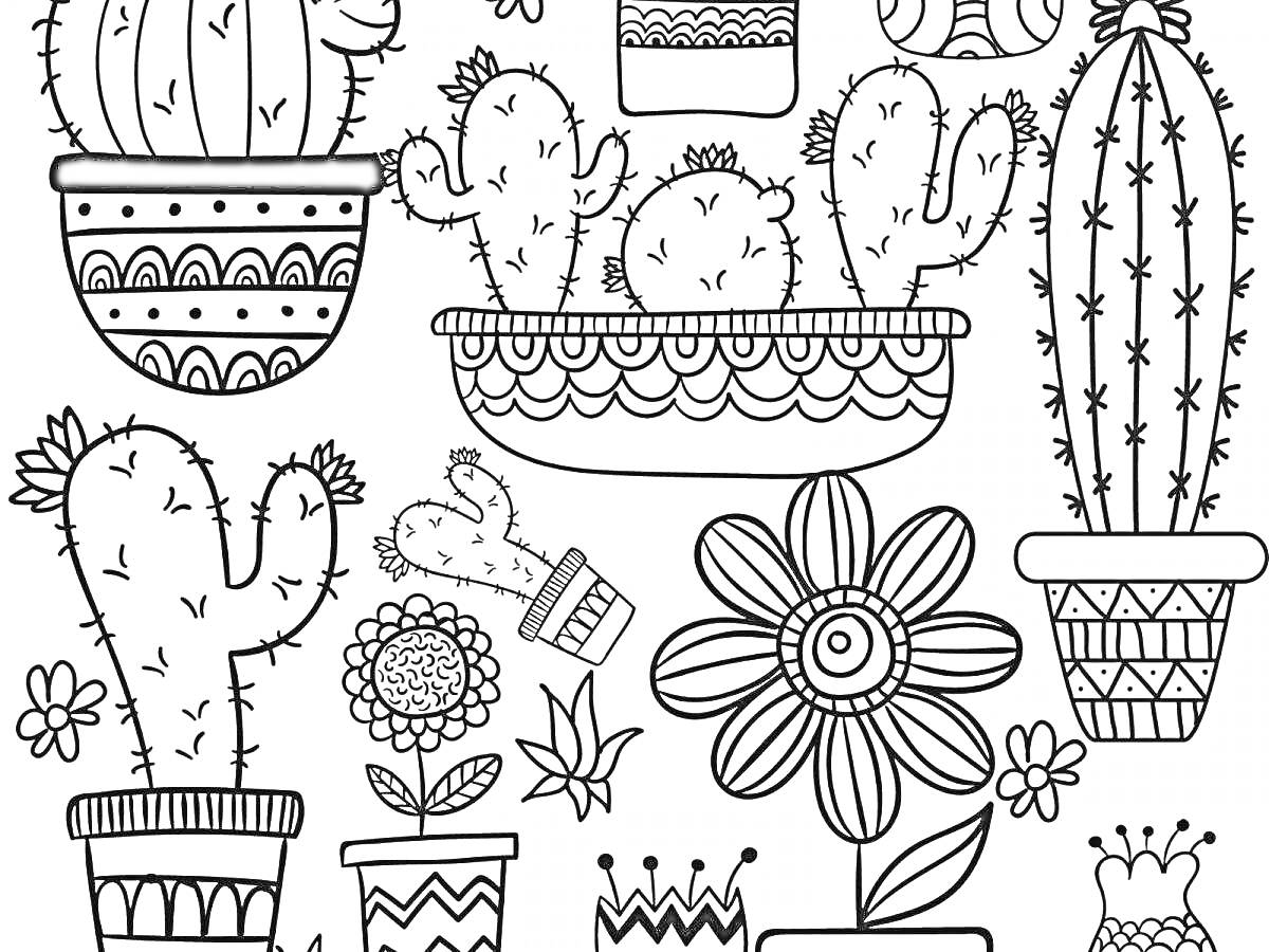 На раскраске изображено: Кактусы, Цветы, Горшки, Растения, Суккуленты
