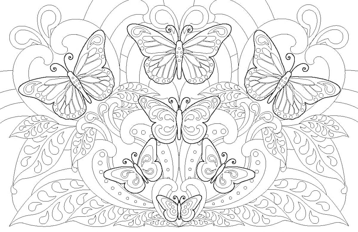 Раскраска бабочки и узоры с листьями и завитками