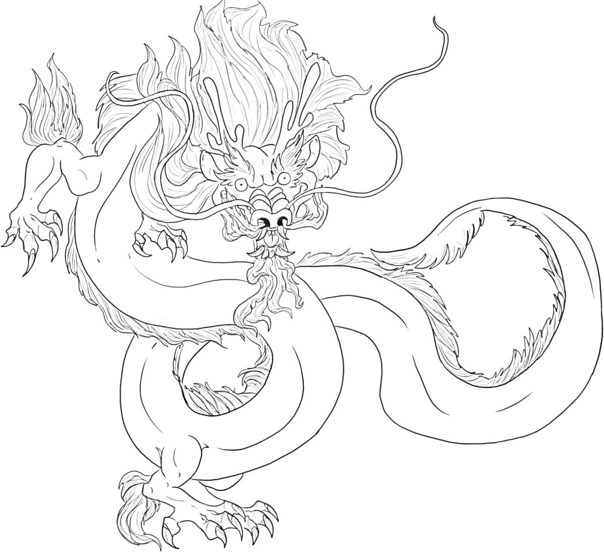 На раскраске изображено: Китайский дракон, Дракон, Мифология, Усы, Грива, Когти, Рога