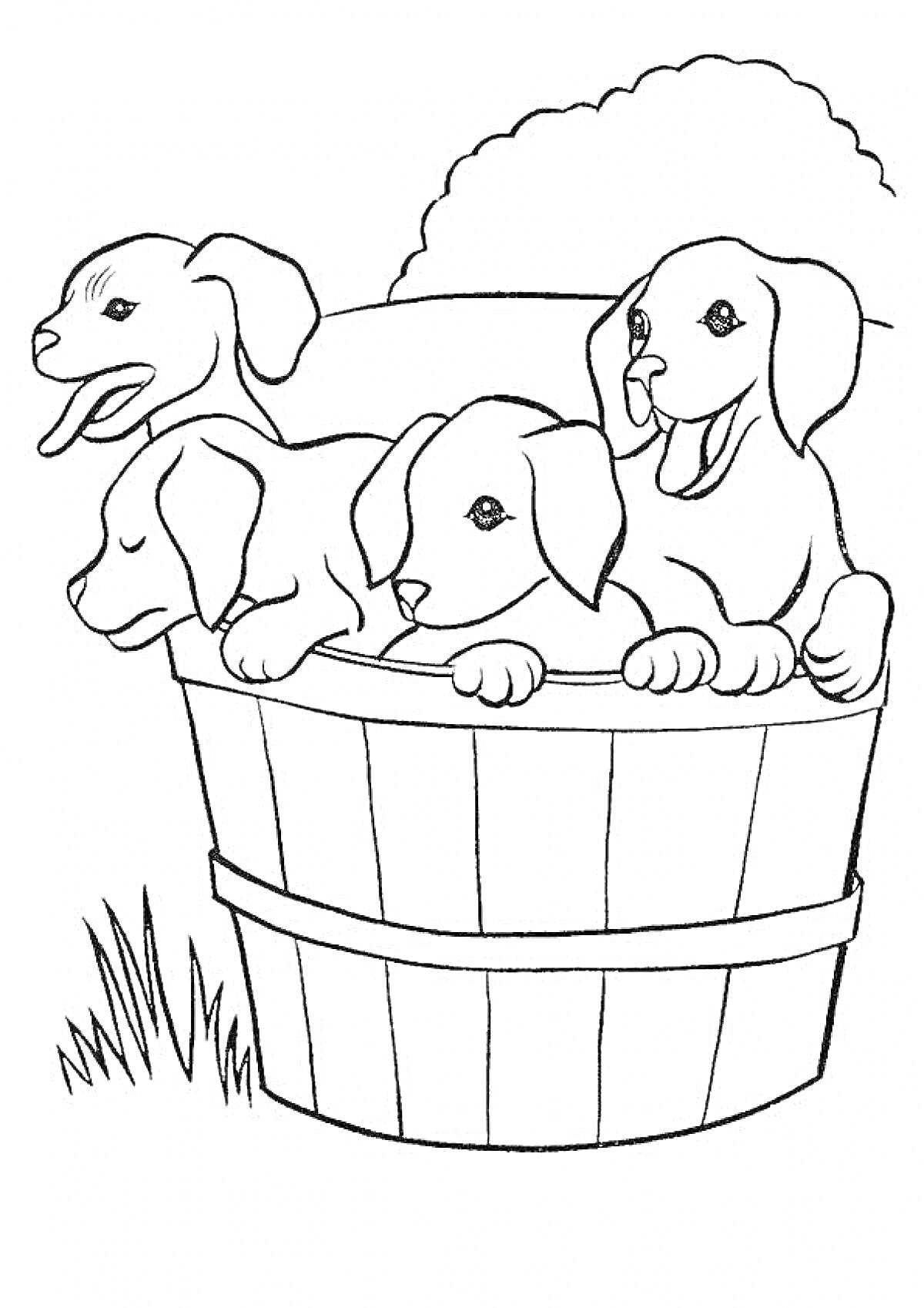 Раскраска Щенки в деревянной бочке на траве возле куста