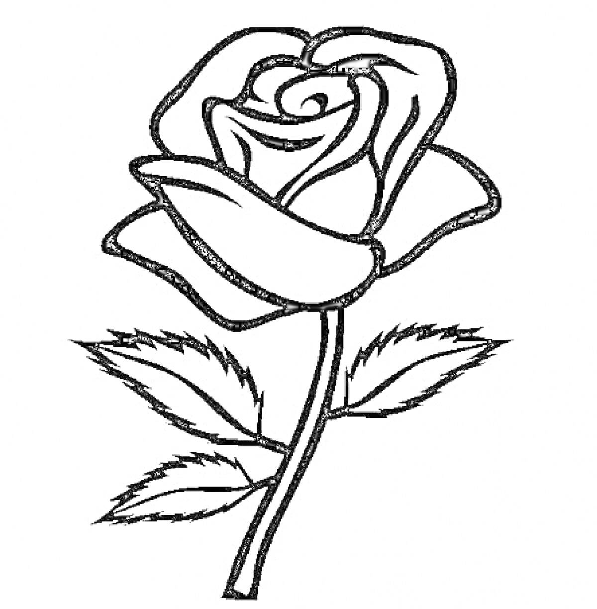 Раскраска Роза с тремя листьями и стеблем