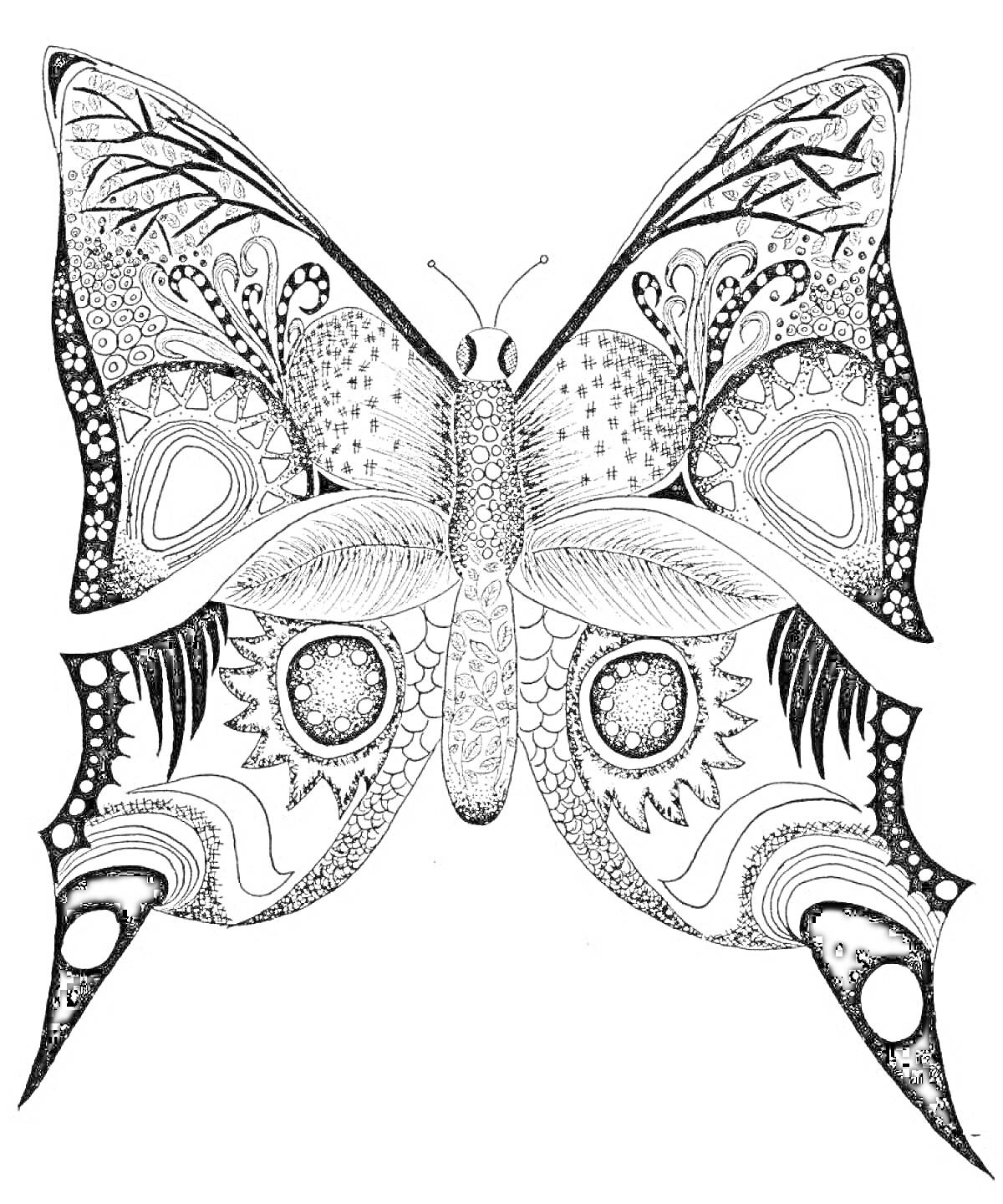 Раскраска Антистресс раскраска бабочка с узорами на крыльях, точками, линиями, кругами и цветочными элементами.