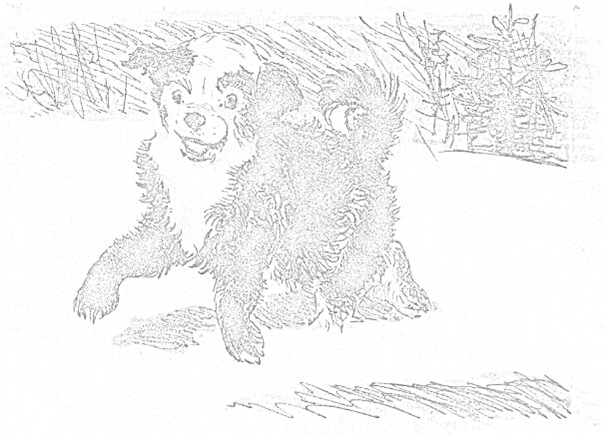 Раскраска Белолобый щенок, играющий на заснеженном поле рядом с лесом