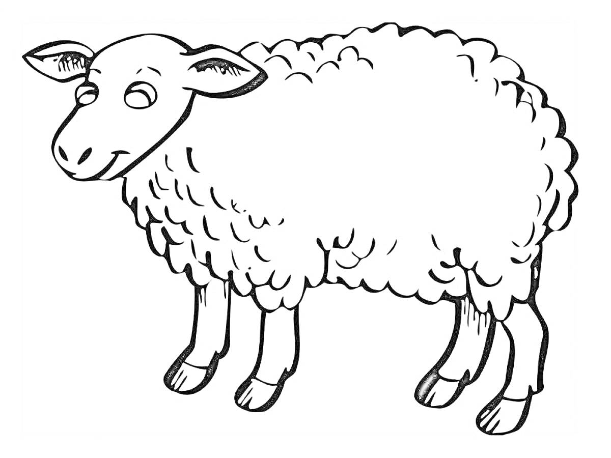 Раскраска Раскраска с овечкой